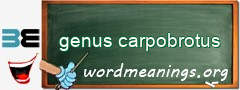 WordMeaning blackboard for genus carpobrotus